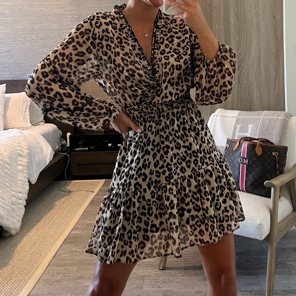 Zara leopard print dress